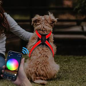 CD1118 APP için LED ışık dostu bez orta ölçekli köpek koşum lüks spor stil Golden Retriever <span class=keywords><strong>Training</strong></span> eğitim - Product Image 6