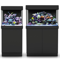 Maßgeschneidertes Großes Transparentes Acryl-Aquarium mit Bogenfront, Aquarien