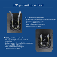 Pompe péristaltique à moteur pas à pas basse pression Ditron BW100+JZ15 avec affichage LED à 3 chiffres, protection IP31, vitesse réglable OEM