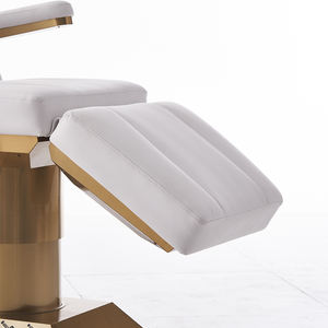 Popular Contemporary Electric Beauty <b>Bed</b> <b>Double</b> Foot Pedal Controller ABS White <b>Base</b> Salon Massage Tables 2in1 - Product Image 3