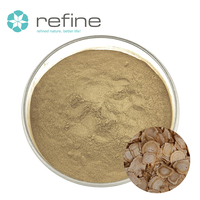 Poudre de Ginsenoside Naturelle Pure, Extrait de Ginseng de Haute Pureté, Complément Alimentaire de Qualité Alimentaire, Poudre de Ginsenoside