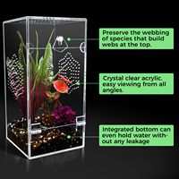 Boîte d'élevage d'araignées sauteuses en acrylique avec service de découpe, habitat transparent pour petits animaux, habitat ventilé, micro-terrarium pour reptiles