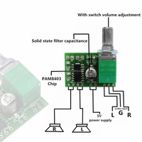 Carte amplificateur audio numérique miniature PAM8403 5V avec potentiomètre à interrupteur Carte amplificateur PAM8403