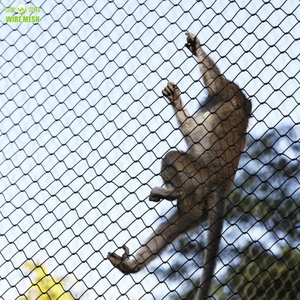 Maille de câble métallique en acier inoxydable de Style virole pour la prévention des chutes Clôture de sécurité Parcs automobiles Façade de verdure - Product Image 6