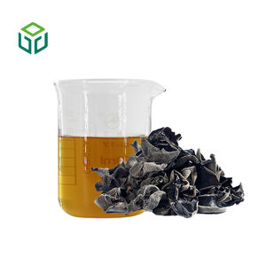 مستخلص الفطر الأسود عالي الجودة، مستخلص أوريكولاريا أوريكولا النقي، مستخلص الفطر الأسود العضوي متوفر في المخزون - Product Image 2