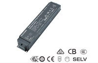 Controlador de Atenuación LED de 1 Canal de Alta Potencia 200W Triac de Voltaje Constante para Tiras de Luces LED de 24V, Iluminación Regulable de 220-240V CA