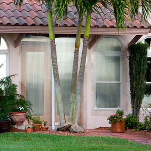 Uv kháng dài khoảng lớn 2100*6000mm <span class=keywords><strong>Polycarbonate</strong></span> tấm nhà kính tấm bóng mặt trời - Product Image 3