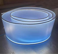 Bande lumineuse ultra-longue, flexible, mate, semi-opaque, lumineuse, style Song, esthétique, douce, en forme d'os de dragon, pour lustre de plafond