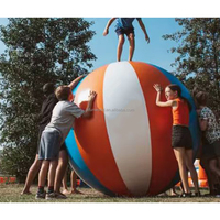 Ballon de plage gonflable coloré, jeux de ballon interactifs, jeux de team building gonflables multifonctions