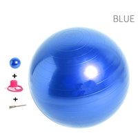 PVC Yuvarlak Yoga Egzersiz Topu, Pompa ile, Özelleştirilmiş Renk ve Boyutlar 45/55/65/75cm 800g, Özel Logo, OEM Mevcut