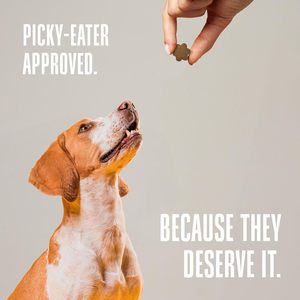 Golosinas Masticables Suaves <span class=keywords><strong>para</strong></span> <span class=keywords><strong>Perros</strong></span> Whole Life Dogs con <span class=keywords><strong>Probióticos</strong></span> <span class=keywords><strong>de</strong></span> Grado Humano <span class=keywords><strong>para</strong></span> el Apoyo Inmunológico y Digestivo, Alivio <span class=keywords><strong>de</strong></span> Gases, Diarrea, Vómito y Estreñimiento - Product Image 5