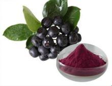 Poudre d'extrait de fruit de Chokeberry <span class=keywords><strong>noir</strong></span> de Longze poudre d'<span class=keywords><strong>aronia</strong></span> poudre d'<span class=keywords><strong>aronia</strong></span> - Product Image 4