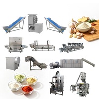 Ligne de production professionnelle de poudre d'oignon et d'ail, machine à poudre d'oignon et d'ail, best-sellers