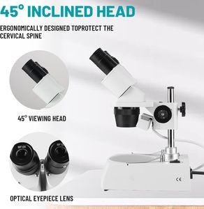 Microscopio Binoculare <span class=keywords><strong>Stereo</strong></span> ZT100 con Oculari WF10x WF20x, Ingrandimento 10X-80X, Sorgente Luminosa <span class=keywords><strong>LED</strong></span> Superiore e Inferiore, Supporto a Colonna 120V - Product Image 4