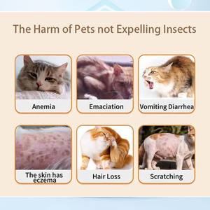 Gotas Antipulgas y Garrapatas Pevet PlaDrop para Gatos, Solución Localizada, Repelente y Eliminante <span class=keywords><strong>de</strong></span> <span class=keywords><strong>Pulgas</strong></span> y Garrapatas, Desparasitación, Salud del Pelo y Piel, Prevención - Product Image 2