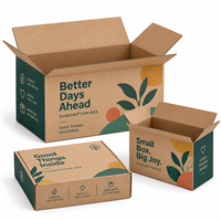 Carton de présentation en carton ondulé E Flute personnalisé avec graphisme pour les cadeaux d'abonnement de marque et les campagnes de lancement en vente au détail