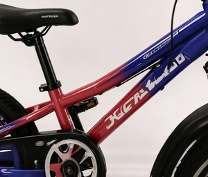 <span class=keywords><strong>Bicicleta</strong></span> de Montaña para Niños con Soldadura de Argón, Pintura Láser, Eje de Pedalier Sellado, Amortiguador, Llantas de Doble Pared y Radios Coloridos - Venta Directa de Fábrica - Product Image 6