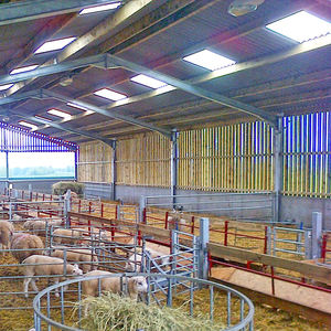 Estructura de acero Almacenes Envío de paquete plano Bajo arancel de importación Ventaja Múltiples tamaños Diseño moderno Hecho en China para taller - Product Image 2