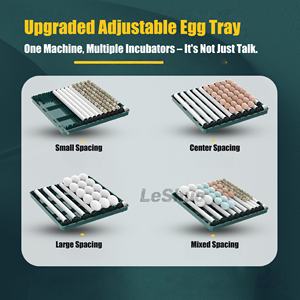 Incubatrice Automatica per Uova di Gallina <span class=keywords><strong>Mini</strong></span> da 6-128 Pezzi con Doppia Alimentazione, Materiale PP, Tasso di Schiusa del 98%, Garanzia di 1 Anno - Product Image 2