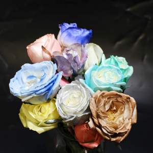 400毫升Aeropak花朵喷雾保持花朵颜色更加充满活力 - Product Image 4