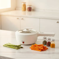 Mijoteuse Électrique 1,5 L en Céramique pour Nouilles, Contrôle Mécanique, Chauffage Rapide, Portable pour Dortoirs, Camping-cars, Bureaux - Ramen/Pâtes/Oeufs/Soupe