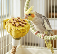 Nourriture pour oiseaux, friandises pour perroquets, pour calopsites, agapornis, perruches, conures solaires, friandises décoratives pour cage, personnalisables