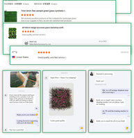 Kunstbloemenwand achtergrond voor bruiloften, van plastic & textiel, milieuvriendelijk, romantische stijl, groot bloemendesign