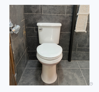Ensemble de toilette en céramique facile à nettoyer, montage au sol, une pièce, double chasse d'eau, design moderne, utilisation d'appartement et d'hôtel de luxe