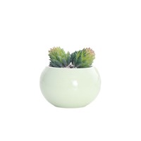 Pot de fleur moderne en céramique émaillée Petit Cactus charnu Design respirant Boule lumineuse Maison Jardin Décoration de bureau Plantes en pot