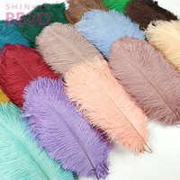 Festival de carnaval diverses plumes colorées grande plume d'autruche pour la décoration de fête