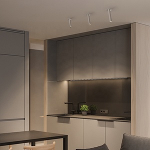 Ange réglable moulage sous pression en aluminium Long baril blanc COB encastré <span class=keywords><strong>Spot</strong></span> lampe pour galerie d'art musée ménage Commercial - Product Image 3