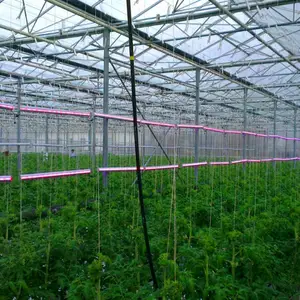 poly film greenhouses cover material used for sale