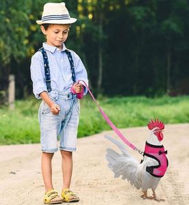 Échantillon Gratuit Harnais et Laisse Réglables pour Poulets et Oies, Petite Taille, Confortables et Respirants, Ensemble Gilet pour Poules - Product Image 4