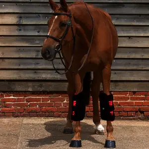 Free Design Pulse Wireless Horse Wraps Led Infrared Red Light Therapy Pets Equine Blanket Pads Red Light Therapy Knee Horse