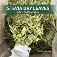Poudre d'extrait de feuilles de Stevia Rebaudiana à 90 % de stéviosides, édulcorant naturel et supplément oral de qualité alimentaire