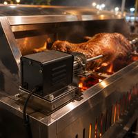 Kit de rôtissoire pour barbecue - 8011 Pro