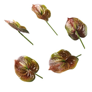 Flor Artificial de Anturio 3D Shinhana Jun, 62 cm, Plástico, Decoración para Bodas y Hogar - Product Image 5