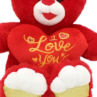 Anoeo Nouvelle Arrivée Couette en Peluche Personnalisée Brodée et Estampillée Or, Motif Cœur Mignon, Rembourrée en Coton PP, pour la Saint-Valentin