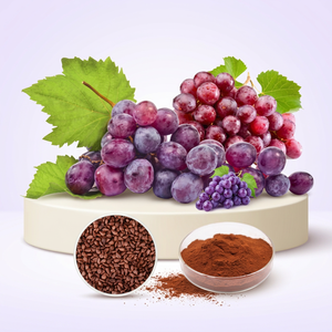 Extracto de Uva en Polvo, Fabricante Mayorista, Extracto de Uva de Calidad, Proveedor de Grado Alimenticio a Granel - Product Image 1