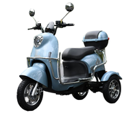 Tricycle électrique puissant : batterie 60V, frein à tambour, charge rapide