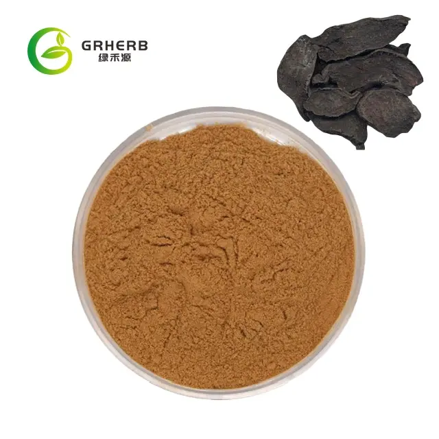 Grherb Cung cấp polygonum multiflorum ông Shou Wu fo-ti chiết xuất từ rễ bột mẫu miễn phí