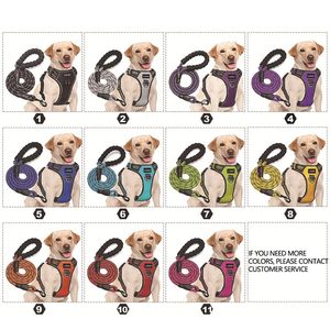 Arnés para perros personalizado 2021, conjunto de arnés y correa para cachorros, Oxford impermeable de nailon reflectante con malla acolchada y función de separación - Product Image 6