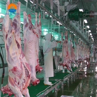 Línea Completa de Matadero para Ovejas/Cabras, 200-500 Cabezas/Hora, Transportador Automático y Despellejado, Diseño de Proyecto Llave en Mano