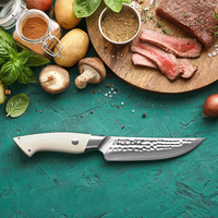 XINZUO Custom 67-laags Damascus staal steakmes, duurzaam wit G10 handvat