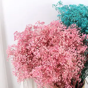 Decoração nórdica para casa, decoração floral yunnano starflowr 2022 flores secas mais populares do bebê respiração