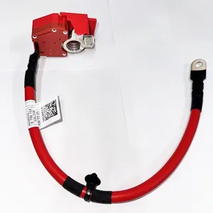 61128796155 61128704706 1PCS Câble de <span class=keywords><strong>batterie</strong></span> <span class=keywords><strong>hybride</strong></span> ou standard pour <span class=keywords><strong>BMW</strong></span> Série 3 Accessoires de voiture 61128796959 61125A690C1 - Product Image 6