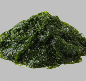 TW Maesaengi PDRN de Alta Potencia 100ppm, Extracto de Planta, Materia Prima Cosmética, Polinucleótido Derivado de Algas Marinas - Product Image 1