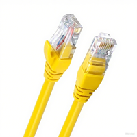 Mendukung kustomisasi CAT5 CAT5E 3m komunikasi RJ45 26AWG Transfer Data aman untuk Smart Home & Office - LAN Cable