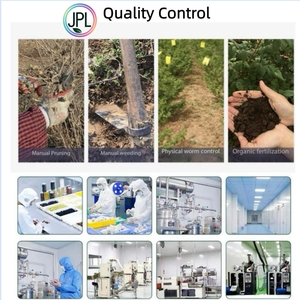 Té Herbal Adelgazante de Hoja de Menta 60g, Grado Superior, En Bolsas, OEM Transfronterizo, No Nacional - Product Image 4