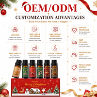Ensemble d'huiles parfumées de Noël de luxe de qualité supérieure, naturelles et pures, pour la fabrication de savons, de parfums et de diffuseurs d'aromathérapie